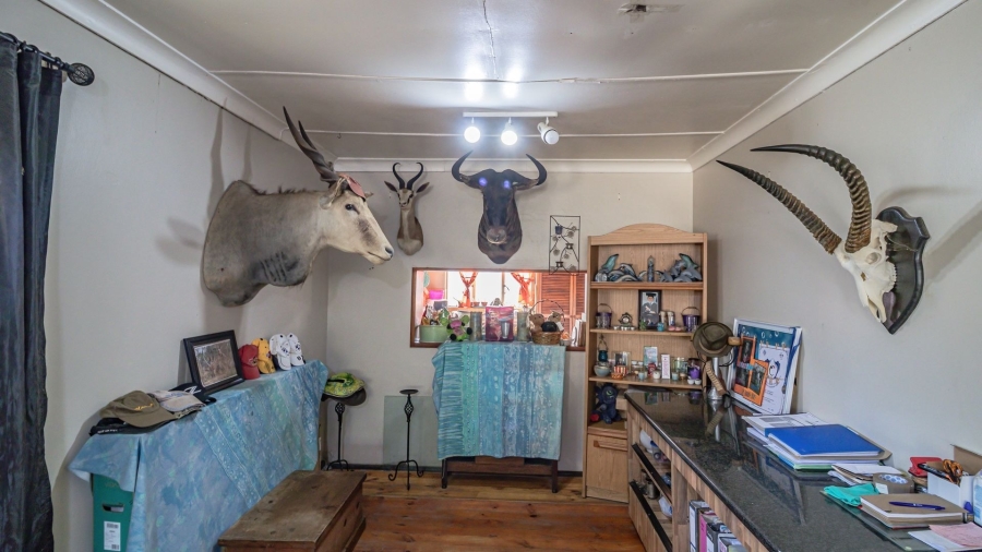 To Let 3 Bedroom Property for Rent in Rosemount Eastern Cape